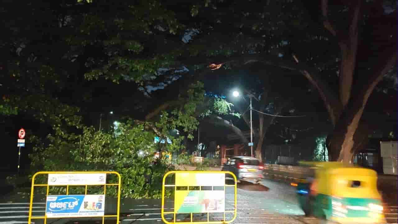 ಬೆಂಗಳೂರು ಮಳೆಗೆ ಹಲವು ಅವಾಂತರ: ಹಲವೆಡೆ ರಸ್ತೆಗಳಿಗೆ ಮರ ಬಿದ್ದು ಸಂಚಾರಕ್ಕೆ ಅಡಚಣೆ, ಇಂದೂ ಸಹ ಟ್ರಾಫಿಕ್ ಜಾಮ್ ಸಾಧ್ಯತೆ