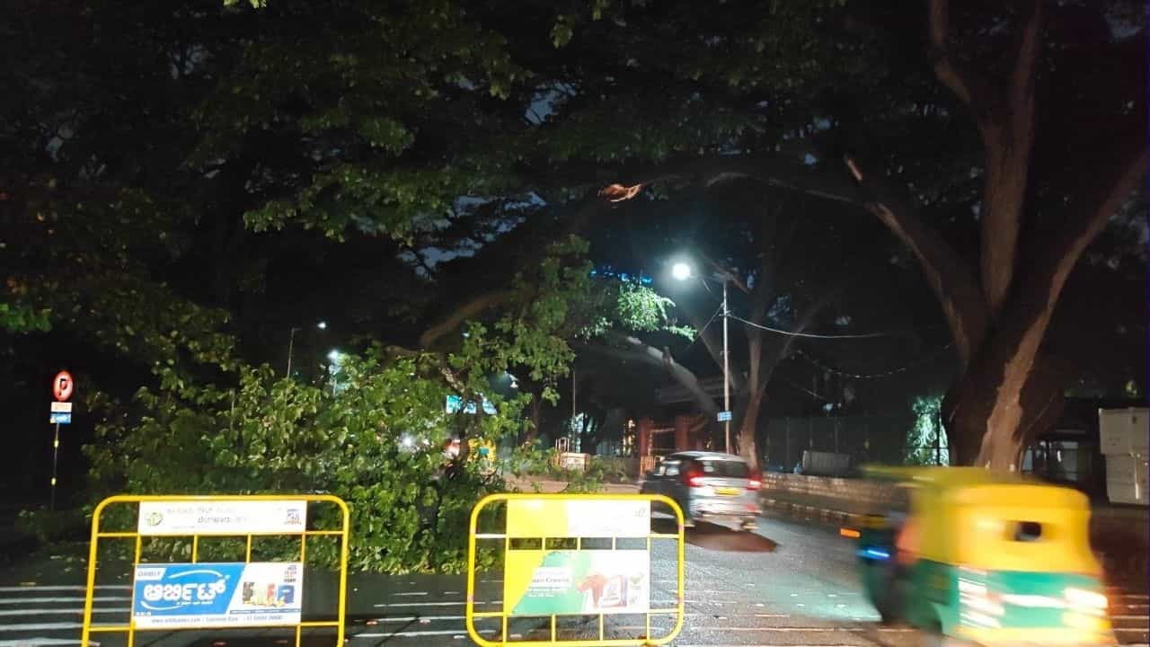 ಬೆಂಗಳೂರು ಮಳೆಗೆ ಹಲವು ಅವಾಂತರ: ಹಲವೆಡೆ ರಸ್ತೆಗಳಿಗೆ ಮರ ಬಿದ್ದು ಸಂಚಾರಕ್ಕೆ ಅಡಚಣೆ, ಇಂದೂ ಸಹ ಟ್ರಾಫಿಕ್ ಜಾಮ್ ಸಾಧ್ಯತೆ