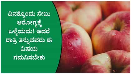 ಸೇಬು ತಿನ್ನಲು ಬೆಳಗ್ಗೆಯೇ ಬೆಸ್ಟ್ ಟೈಮಾ? ರಾತ್ರಿ ತಿಂದರೆ ಏನಾಗುತ್ತೆ?