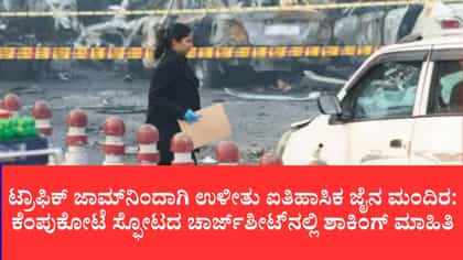 ಕೆಂಪು ಕೋಟೆ ಬಳಿ ಬಾಂಬ್ ಸ್ಪೋಟಿಸುವುದು ಪ್ಲ್ಯಾನ್ ಆಗಿರಲಿಲ್ಲ