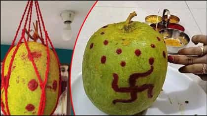 ಮುಖ್ಯ ದ್ವಾರಕ್ಕೆ ಕಟ್ಟುವ ಬೂದು ಕುಂಬಳಕಾಯಿ ನೀರಿನಿಂದ ತೊಳೆಯಬಾರದು ಏಕೆ?