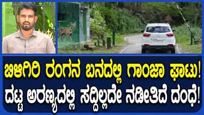ಬಿಳಿಗಿರಿ ಟೈಗರ್ ರಿಸರ್ವ್ ಫಾರೆಸ್ಟ್​​ನಲ್ಲಿ ಗಾಂಜಾ ಘಮಲು!