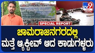 ಚಾಮರಾಜನಗರದಲ್ಲಿ ಕಾಡುಗಳ್ಳರು ಮತ್ತೆ ಆ್ಯಕ್ಟಿವ್: ವಾರದಲ್ಲೇ ಎರಡು ಕಡೆ ಕಡವೆ, ಜಿಂಕೆ ಶಿಕಾರಿ