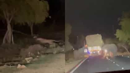 ಲಾರಿ ಅಡ್ಡಗಟ್ಟಿದ ಗಜಪಡೆ: ಛಂಗನೆ ನೆಗೆದು ರಸ್ತೆ ದಾಟಿದ ಬೃಹತ್ ಚಿರತೆ!