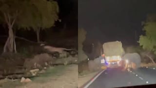 ಕಬ್ಬು ತುಂಬಿದ್ದ ಲಾರಿ ಅಡ್ಡಗಟ್ಟಿದ ಗಜಪಡೆ, ಛಂಗನೆ ನೆಗೆದು ರಸ್ತೆ ದಾಟಿದ ಬೃಹತ್ ಚಿರತೆ! ವಾಹನ ಸವಾರರು ಕಂಗಾಲು