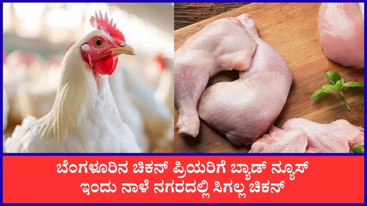 ಬೆಂಗಳೂರಿನಲ್ಲಿ ಇಂದು, ನಾಳೆ 2 ದಿನ ಚಿಕನ್ ಅಂಗಡಿಗಳು ಬಂದ್; ತ್ಯಾಜ್ಯ ಶುಲ್ಕದ ವಿರುದ್ಧ ಫ್ರೀಡಂ ಪಾರ್ಕ್ನಲ್ಲಿ ಬೃಹತ್ ಪ್ರತಿಭಟನೆ ಬೆಂಗಳೂರಿನಲ್ಲಿ ಇಂದು, ನಾಳೆ 2 ದಿನ ಚಿಕನ್ ಅಂಗಡಿಗಳು ಬಂದ್; ತ್ಯಾಜ್ಯ ಶುಲ್ಕದ ವಿರುದ್ಧ ಫ್ರೀಡಂ ಪಾರ್ಕ್ನಲ್ಲಿ ಬೃಹತ್ ಪ್ರತಿಭಟನೆ