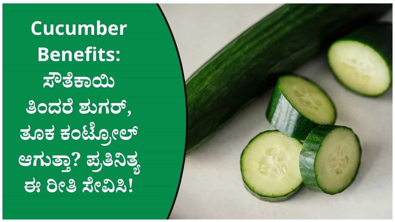 ಪ್ರತಿದಿನ ಸೌತೆಕಾಯಿ ತಿಂದರೆ ಏನಾಗುತ್ತೆ? ತೂಕ ಕಡಿಮೆ ಮಾಡಿಕೊಳ್ಳುವವರಿಗೆ ಬೆಸ್ಟ್ ಆಹಾರವೇ? ಪ್ರತಿದಿನ ಸೌತೆಕಾಯಿ ತಿಂದರೆ ಏನಾಗುತ್ತೆ? ತೂಕ ಕಡಿಮೆ ಮಾಡಿಕೊಳ್ಳುವವರಿಗೆ ಬೆಸ್ಟ್ ಆಹಾರವೇ?