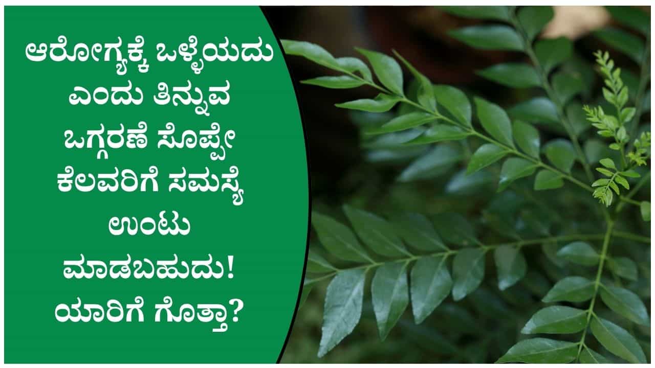 ಒಗ್ಗರಣೆ ಸೊಪ್ಪು ಆರೋಗ್ಯಕ್ಕೆ ಒಳ್ಳೆಯದು ಆದ್ರೆ ತಿನ್ನುವ ಮುನ್ನ ಈ ವಿಷಯಗಳು ತಿಳಿದಿರಲೇಬೇಕು! ಒಗ್ಗರಣೆ ಸೊಪ್ಪು ಆರೋಗ್ಯಕ್ಕೆ ಒಳ್ಳೆಯದು ಆದ್ರೆ ತಿನ್ನುವ ಮುನ್ನ ಈ ವಿಷಯಗಳು ತಿಳಿದಿರಲೇಬೇಕು!