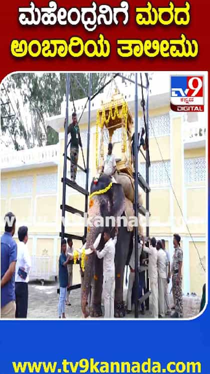 ದಸರಾ ಗಜಪಡೆಗೆ ತಾಲೀಮು