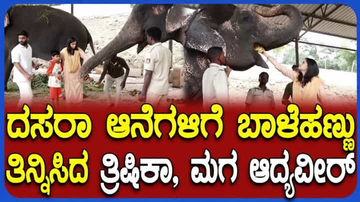 ಅರಮನೆ ಅಂಗಳದಲ್ಲಿ ಬೀಡುಬಿಟ್ಟಿರುವ ದಸರಾ ಗಜಪಡೆಗೆ ಹಣ್ಣು ತಿನ್ನಿಸಿದ ತ್ರಿಷಿಕಾ, ಆದ್ಯವೀರ್ ಅರಮನೆ ಅಂಗಳದಲ್ಲಿ ಬೀಡುಬಿಟ್ಟಿರುವ ದಸರಾ ಗಜಪಡೆಗೆ ಹಣ್ಣು ತಿನ್ನಿಸಿದ ತ್ರಿಷಿಕಾ, ಆದ್ಯವೀರ್