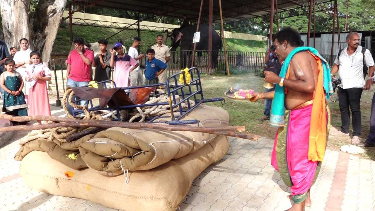 ಮೊದಲ ದಿನದ ಭಾರ ಹೊರುವ ತಾಲೀಮಿಗಾಗಿ ಗಜಪಡೆಯ ಪ್ರಮುಖ ಆನೆಯಾದ ಮಹೇಂದ್ರನನ್ನು ಅರಣ್ಯಾಧಿಕಾರಿಗಳು ಆಯ್ಕೆ ಮಾಡಿದ್ದರು. ಮಹೇಂದ್ರ ಆನೆಯ ಬೆನ್ನಿನ ಮೇಲೆ ಸುಮಾರು 350 ಕೆಜಿ ತೂಕದ ಮರಳ ಮೂಟೆಗಳನ್ನು ಭದ್ರವಾಗಿ ಕಟ್ಟಿ, ಅರಮನೆಯ ಪ್ರಮುಖ ಅಂಗಳದಿಂದ ಬನ್ನಿಮಂಟಪದ ಪಂಜಿನ ಕವಾಯತು ಮೈದಾನದವರೆಗೆ ಯಶಸ್ವಿಯಾಗಿ ತೂಕದ ತಾಲೀಮು ನಡೆಸಲಾಯಿತು.