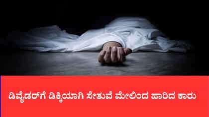 ಡಿವೈಡರ್‌ಗೆ ಡಿಕ್ಕಿಯಾಗಿ ಸೇತುವೆ ಮೇಲಿಂದ ಹಾರಿದ ಕಾರು