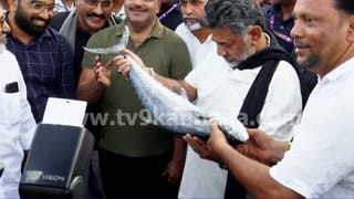 ಸಿಎಂ ಡಿಕೆ ಶಿವಕುಮಾರ್ ಮಂಗಳೂರು ಮೀನುಗಾರಿಕೆ ಬಂದರಿಗೆ ದಿಢೀರ್ ಭೇಟಿ: ಧಕ್ಕೆ ಬಂದ್ ಮಾಡಿಸಿದವರ ಅಮಾನತಿಗೆ ಸೂಚನೆ