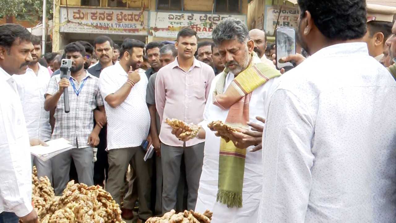 ಎಪಿಎಂಸಿಯ ಶುಂಠಿ ಮಂಡಿಗೆ ಭೇಟಿ ನೀಡಿದ ಸಿಎಂ ಡಿ.ಕೆ. ಶಿವಕುಮಾರ್, ಶುಂಠಿ ಬೆಳೆಗಾರರು ಮತ್ತು ವರ್ತಕರಿಂದ ಮಾರುಕಟ್ಟೆ ವಹಿವಾಟಿನ ಕುರಿತು ಮಾಹಿತಿ ಸಂಗ್ರಹಿಸಿದರು. ಶುಂಠಿಯ ಗುಣಮಟ್ಟವನ್ನು ಖುದ್ದು ಪರಿಶೀಲಿಸಿದ ಅವರು, ವ್ಯಾಪಾರಿಗಳು ರೈತರಿಂದ ಖರೀದಿಸುವಾಗ ಹಾಗೂ ಮಾರಾಟ ಮಾಡುವಾಗ ದರವನ್ನು ಯಾವ ರೀತಿ ನಿಗದಿಪಡಿಸುತ್ತಾರೆ ಎಂಬುದನ್ನು ವಿವರವಾಗಿ ಕೇಳಿ ತಿಳಿದುಕೊಂಡರು.