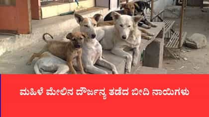 ಮಾನಸಿಕ ಅಸ್ವಸ್ಥ ಮಹಿಳೆ ಮೇಲಿನ ದೌರ್ಜನ್ಯ ತಡೆದ ಬೀದಿ ನಾಯಿ