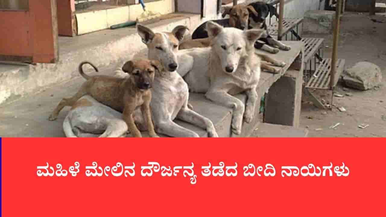 ಮಾನಸಿಕ ಅಸ್ವಸ್ಥ ಮಹಿಳೆ ಮೇಲಿನ ದೌರ್ಜನ್ಯ ತಡೆದ ಬೀದಿ ನಾಯಿ, ವಿಡಿಯೋ ವೈರಲ್