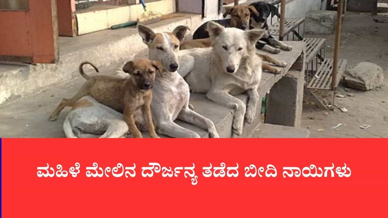 ಮಾನಸಿಕ ಅಸ್ವಸ್ಥ ಮಹಿಳೆ ಮೇಲಿನ ದೌರ್ಜನ್ಯ ತಡೆದ ಬೀದಿ ನಾಯಿ, ವಿಡಿಯೋ ವೈರಲ್ ಮಾನಸಿಕ ಅಸ್ವಸ್ಥ ಮಹಿಳೆ ಮೇಲಿನ ದೌರ್ಜನ್ಯ ತಡೆದ ಬೀದಿ ನಾಯಿ, ವಿಡಿಯೋ ವೈರಲ್