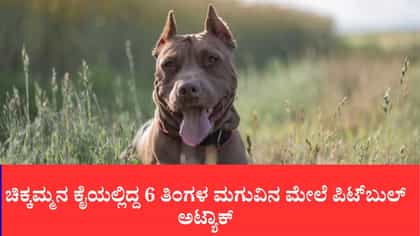 ಚಿಕ್ಕಮ್ಮನ ಕೈಯಲ್ಲಿದ್ದ 6 ತಿಂಗಳ ಮಗುವಿನ ಮೇಲೆ ಪಿಟ್​ಬುಲ್ ಅಟ್ಯಾಕ್