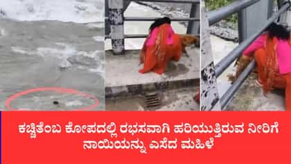 ಸೇತುವೆ ಮೇಲಿಂದ ರಭಸವಾಗಿ ಹರಿಯುವ ನದಿಗೆ ನಾಯಿಯನ್ನು ಎಸೆದ ಮಹಿಳೆ