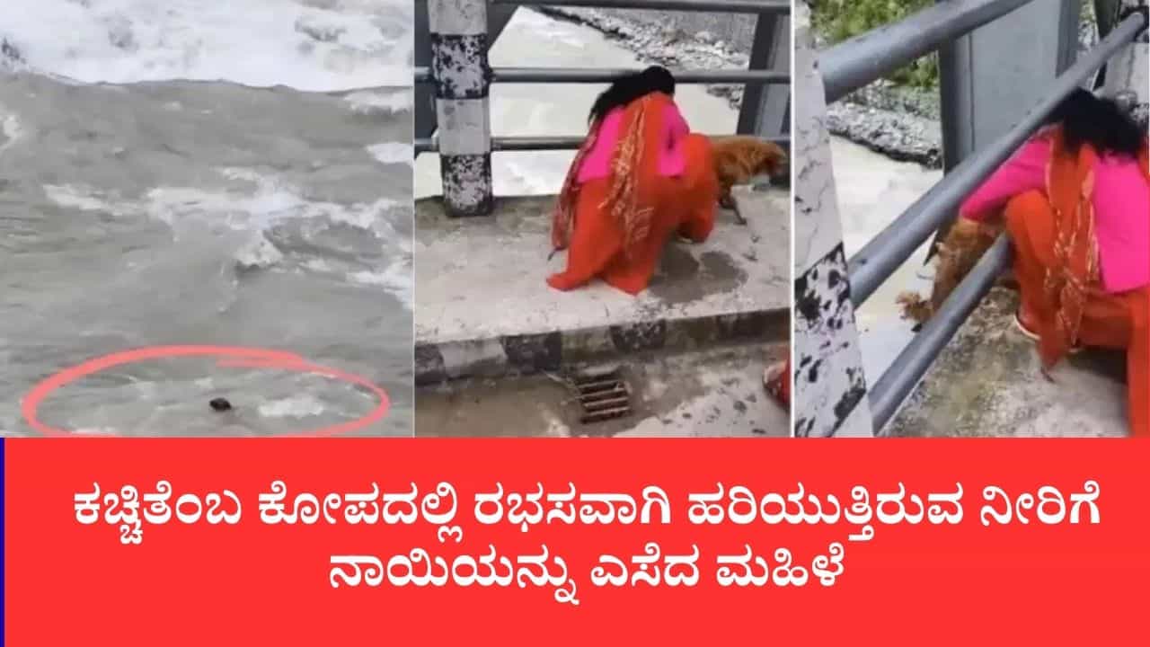 ಸೇತುವೆ ಮೇಲಿಂದ ರಭಸವಾಗಿ ಹರಿಯುವ ನದಿಗೆ ಬಲವಂತವಾಗಿ ನಾಯಿಯನ್ನು ಎಸೆದ ಮಹಿಳೆ ಸೇತುವೆ ಮೇಲಿಂದ ರಭಸವಾಗಿ ಹರಿಯುವ ನದಿಗೆ ಬಲವಂತವಾಗಿ ನಾಯಿಯನ್ನು ಎಸೆದ ಮಹಿಳೆ