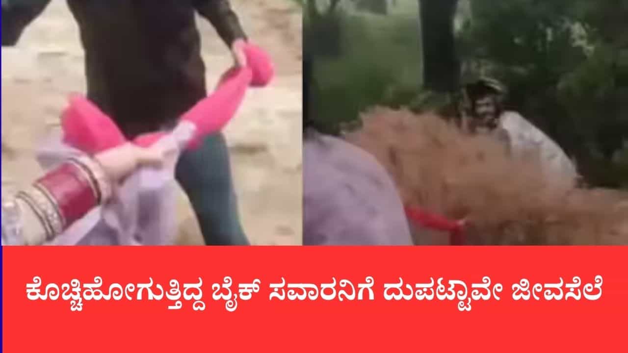 ಕೊಚ್ಚಿಹೋಗುತ್ತಿದ್ದ ಬೈಕ್ ಸವಾರನಿಗೆ ದುಪಟ್ಟಾವೇ ಜೀವಸೆಲೆ: ನವವಿವಾಹಿತೆಯ ಸಮಯಪ್ರಜ್ಞೆಗೆ ನೆಟ್ಟಿಗರ ಸಲಾಂ ಕೊಚ್ಚಿಹೋಗುತ್ತಿದ್ದ ಬೈಕ್ ಸವಾರನಿಗೆ ದುಪಟ್ಟಾವೇ ಜೀವಸೆಲೆ: ನವವಿವಾಹಿತೆಯ ಸಮಯಪ್ರಜ್ಞೆಗೆ ನೆಟ್ಟಿಗರ ಸಲಾಂ