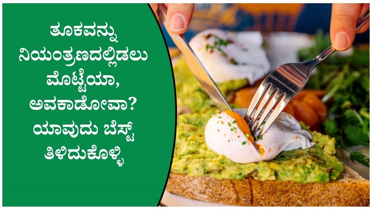 Egg vs Avocado: ನಿಮ್ಮ ಆರೋಗ್ಯಕ್ಕೆ ಯಾವುದು ಬೆಸ್ಟ್ ತಿಳಿದುಕೊಳ್ಳಿ Egg vs Avocado: ನಿಮ್ಮ ಆರೋಗ್ಯಕ್ಕೆ ಯಾವುದು ಬೆಸ್ಟ್ ತಿಳಿದುಕೊಳ್ಳಿ