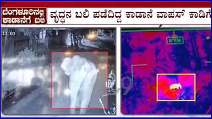 ಆರ್​ಆರ್ ನಗರದಲ್ಲಿ ವ್ಯಕ್ತಿಯ ಕೊಂದಿದ್ದ ಕಾಡಾನೆ ಕೊನೆಗೂ ಕಾಡಿಗೆ