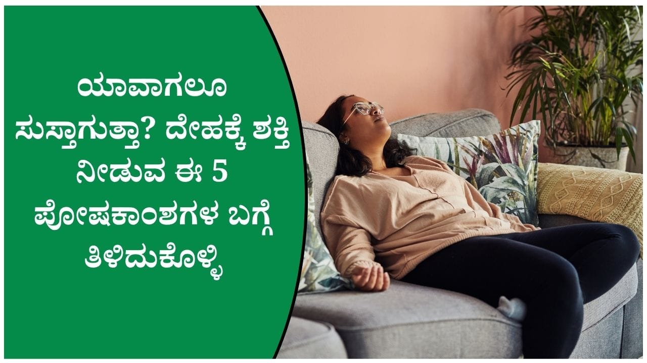 ಯಾವಾಗಲೂ ಸುಸ್ತು, ದೇಹದಲ್ಲಿ ಎನರ್ಜಿ ಇಲ್ಲ ಎನ್ನುವವರು ಪ್ರತಿದಿನ ಸೇವಿಸಬೇಕಾದ 5 ಪವರ್‌ಫುಲ್ ಎನರ್ಜಿ ಬೂಸ್ಟರ್‌ಗಳು