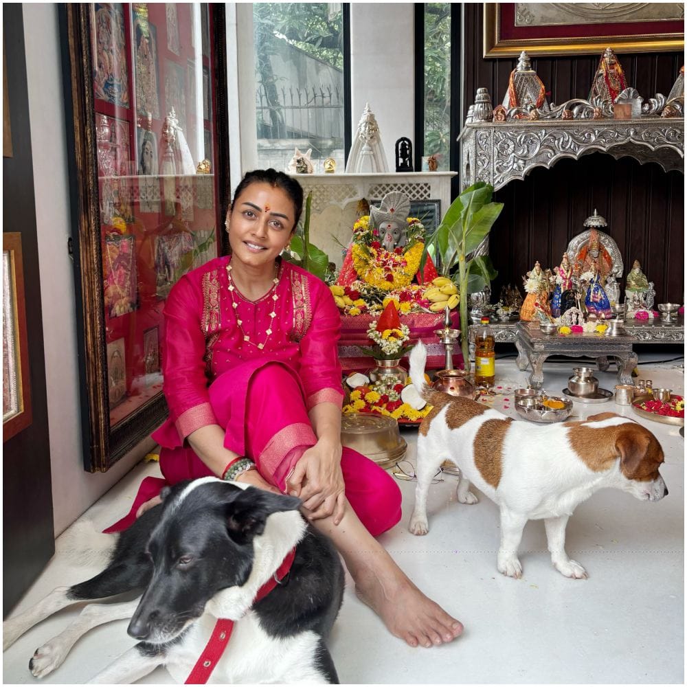 ಗುಲಾಬಿ ಉಡುಪಿನಲ್ಲಿ ಕಂಗೊಳಿಸುತ್ತಿರುವ ನಮ್ರತಾ ಶಿರೋಡ್ಕರ್ ತಮ್ಮ ಪೂಜಾ ಕೋಣೆಯಲ್ಲಿ ಗಣೇಶ ಮೂರ್ತಿ ಹಾಗೂ ತಮ್ಮ ಸಾಕುನಾಯಿಗಳೊಂದಿಗೆ ಸರಳವಾಗಿ ಹಬ್ಬ ಆಚರಿಸಿದ್ದಾರೆ.