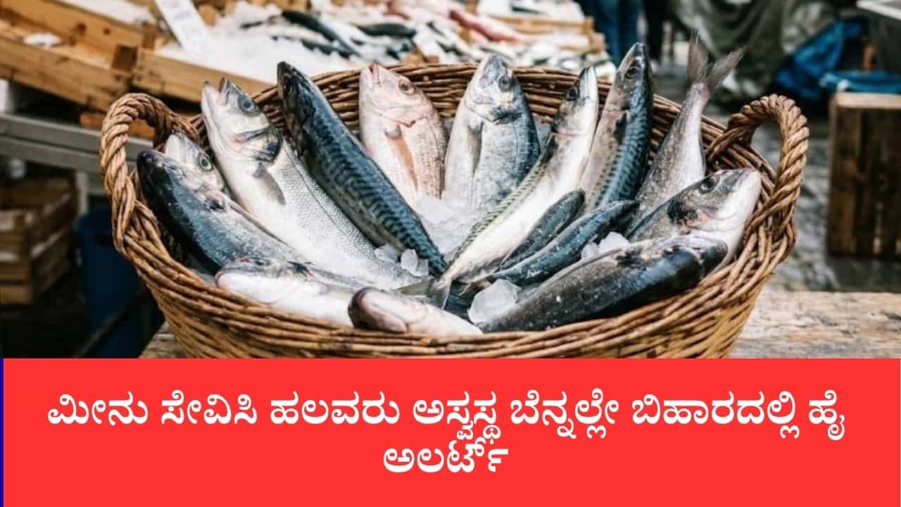ನೇಪಾಳ ಪ್ರವಾಹದಲ್ಲಿ ತೇಲಿಬಂದ ಬೃಹತ್ ಗಾತ್ರದ ಮೀನುಗಳು: ಸೇವನೆ, ಮಾರಾಟ ಮಾಡದಂತೆ ಬಿಹಾರ ಸರ್ಕಾರ ಎಚ್ಚರಿಕೆ