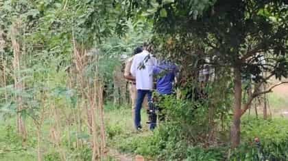 ತೋಟದಲ್ಲಿ ಗಾಂಜಾ ಗಿಡ ಬೆಳೆದು ಸಿಕ್ಕಿಬಿದ್ದ ಪೊಲೀಸಪ್ಪನ ಪುತ್ರ!