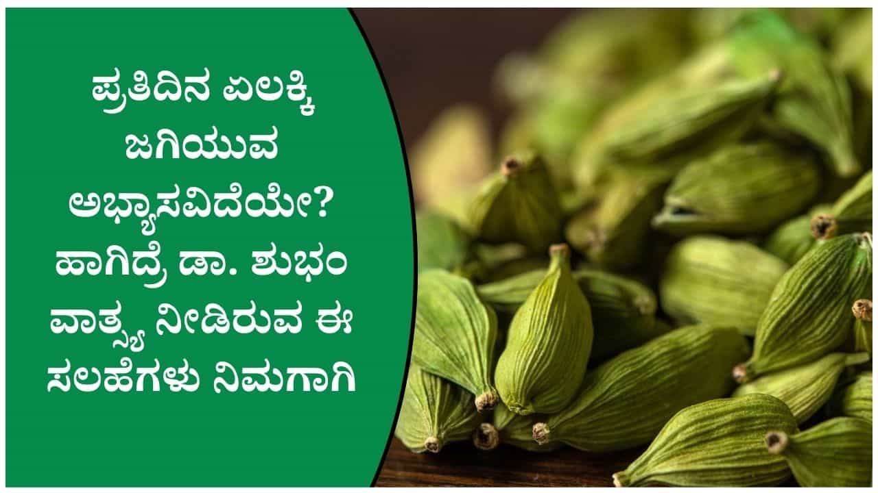 ಹಸಿರು ಏಲಕ್ಕಿ ಮೌತ್ ಫ್ರೆಶ್ನರ್ ಆಗಿ ಮಾತ್ರವಲ್ಲ, ಊಹಿಸಲೂ ಸಾಧ್ಯವಾಗದ ಪ್ರಯೋಜನ ನೀಡುತ್ತೆ! ಹಸಿರು ಏಲಕ್ಕಿ ಮೌತ್ ಫ್ರೆಶ್ನರ್ ಆಗಿ ಮಾತ್ರವಲ್ಲ, ಊಹಿಸಲೂ ಸಾಧ್ಯವಾಗದ ಪ್ರಯೋಜನ ನೀಡುತ್ತೆ!