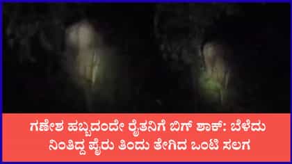 ಗಣೇಶ ಚತುರ್ಥಿಯಂದೇ ಗಜರಾಜನ ಎಂಟ್ರಿ
