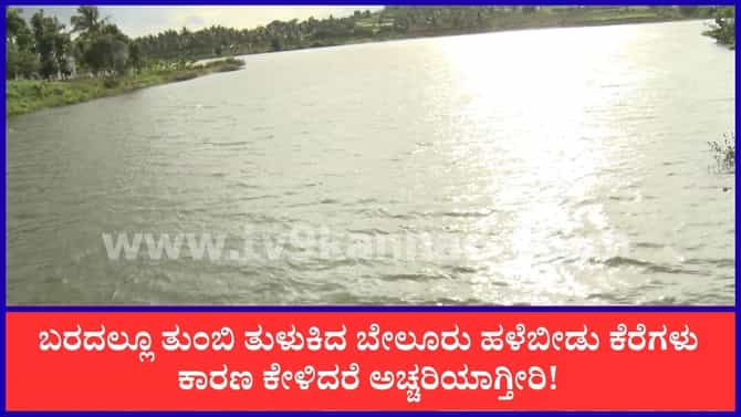 ಬರದಲ್ಲೂ ತುಂಬಿ ತುಳುಕಿದ ಬೇಲೂರು ಹಳೆಬೀಡು ಕೆರೆಗಳು!