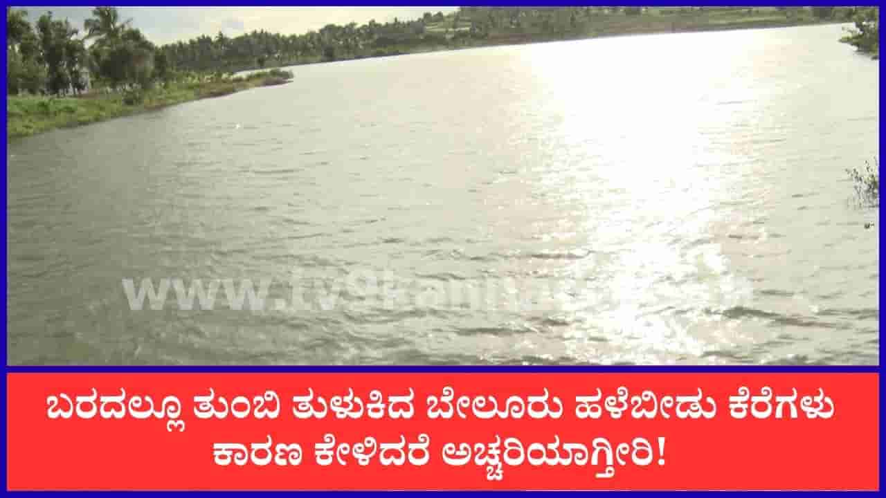 ಬರದಲ್ಲೂ ತುಂಬಿ ತುಳುಕಿದ ಬೇಲೂರು ಹಳೆಬೀಡು ಕೆರೆಗಳು: ಎತ್ತಿನಹೊಳೆ ಯೋಜನೆಯ ಪರಿಣಾಮ!