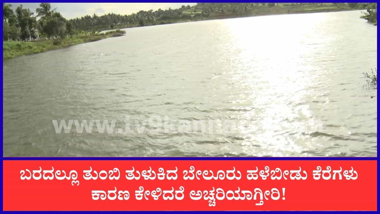 ಬರದಲ್ಲೂ ತುಂಬಿ ತುಳುಕಿದ ಬೇಲೂರು ಹಳೆಬೀಡು ಕೆರೆಗಳು: ಎತ್ತಿನಹೊಳೆ ಯೋಜನೆಯ ಪರಿಣಾಮ!