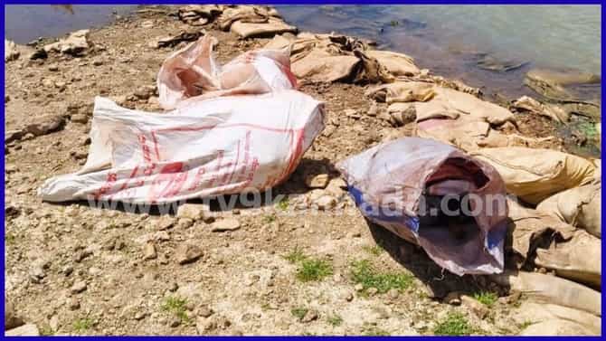 ಎನ್‌ಕೌಂಟರ್ ಬಳಿಕವೂ ನಿಲ್ಲದ ಕಳ್ಳಬೇಟೆ: ಹನೂರು ಅರಣ್ಯದಲ್ಲಿ ಕಡವೆ ಬೇಟೆ