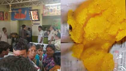 ಕ್ಯಾಂಟೀನ್‌ನಲ್ಲಿ ಬಾಣಂತಿಗೆ ನೀಡಿದ್ದ ಕೇಸರಿಬಾತ್‌ನಲ್ಲಿ ಹಲ್ಲಿ ಪತ್ತೆ