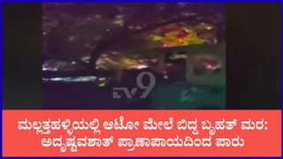 ಮಲ್ಲತ್ತಹಳ್ಳಿಯಲ್ಲಿ ರಸ್ತೆಗೆ ಉರುಳಿದ ಬೃಹತ್ ಮರ: ನಜ್ಜುಗುಜ್ಜಾದ ಆಟೋ, ರಾಜಧಾನಿಯಲ್ಲಿ ಮಳೆಯ ಅವಾಂತರ