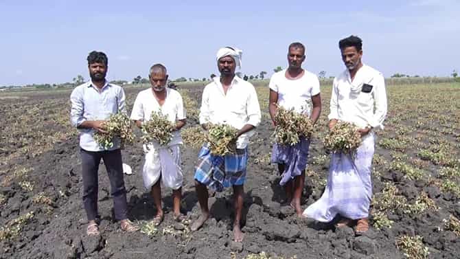 ಬರಗಾಲದ ನಡುವೆ ರೈತರಿಗೆ ವಂಚಕರ ಕಾಟ: ಲಕ್ಷಾಂತರ ರೂ. ದೋಚುತ್ತಿರುವ ಜಾಲ!