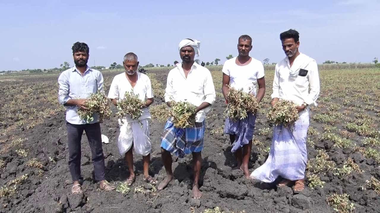 ಬರಗಾಲದ ನಡುವೆ ರೈತರಿಗೆ ವಂಚಕರ ಕಾಟ: ಸಬ್ಸಿಡಿ ಪೈಪ್ ಹೆಸರಲ್ಲಿ ಲಕ್ಷಾಂತರ ರೂ. ದೋಚುತ್ತಿರುವ ಜಾಲ! ಬರಗಾಲದ ನಡುವೆ ರೈತರಿಗೆ ವಂಚಕರ ಕಾಟ: ಸಬ್ಸಿಡಿ ಪೈಪ್ ಹೆಸರಲ್ಲಿ ಲಕ್ಷಾಂತರ ರೂ. ದೋಚುತ್ತಿರುವ ಜಾಲ!
