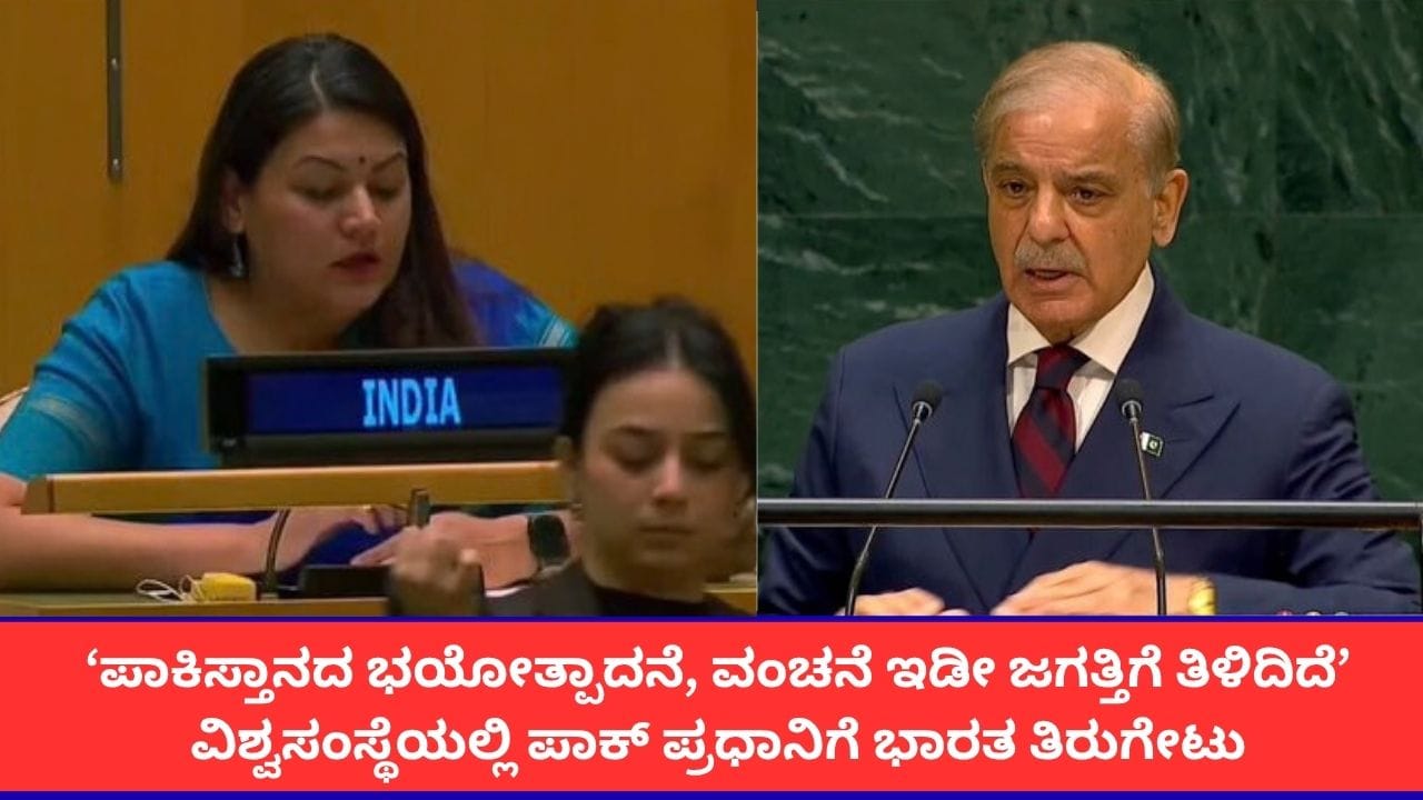 ‘ಹಗಲು ಭದ್ರತೆಯ ಮಾತು, ರಾತ್ರಿ ಭಯೋತ್ಪಾದನೆಗೆ ಕುಮ್ಮಕ್ಕು’; ಪಾಕ್ ಪ್ರಧಾನಿಯ​​ ಬೆವರಿಳಿಸಿದ ಭಾರತದ ಮಹಿಳಾ ಅಧಿಕಾರಿ