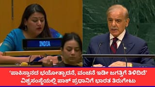 ‘ಹಗಲು ಭದ್ರತೆಯ ಮಾತು, ರಾತ್ರಿ ಭಯೋತ್ಪಾದನೆಗೆ ಕುಮ್ಮಕ್ಕು’; ಪಾಕ್ ಪ್ರಧಾನಿಯ​​ ಬೆವರಿಳಿಸಿದ ಭಾರತದ ಮಹಿಳಾ ಅಧಿಕಾರಿ