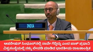ಆಪರೇಷನ್ ಸಿಂಧೂರ್​​ನಲ್ಲಿ ನಾವೇ ಗೆದ್ದಿದ್ದು ಎಂದ ಪಾಕ್ ಪ್ರಧಾನಿ; ವಿಶ್ವಸಂಸ್ಥೆಯಲ್ಲಿ ನಕ್ಕು ಲೇವಡಿ ಮಾಡಿದ ಭಾರತೀಯ ರಾಜತಾಂತ್ರಿಕ
