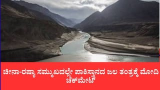 ಹೇಗ್ ಕೋರ್ಟ್ ಆದೇಶಕ್ಕೆ ಕ್ಯಾರೆ ಅನ್ನದ ಭಾರತ: ಪಾಕ್ ಪ್ರಧಾನಿ ಎದುರೇ ಸಿಂಧೂ ನದಿ ನೀರು ನಿರ್ಬಂಧ ಸಮರ್ಥನೆ