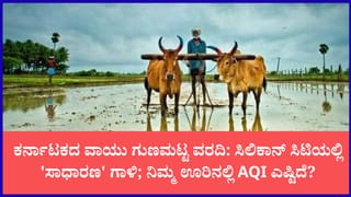 ಕರ್ನಾಟಕ ವಾಯು ಗುಣಮಟ್ಟ ವರದಿ: ಬೆಂಗಳೂರು ಸೇರಿ ಪ್ರಮುಖ ನಗರಗಳಲ್ಲಿ ವಾಯು ಮಾಲಿನ್ಯ ಹೇಗಿದೆ?