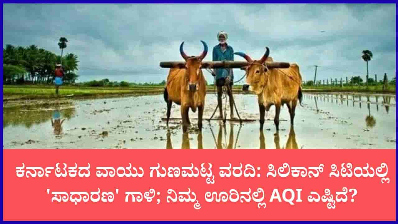 ಕರ್ನಾಟಕ ವಾಯು ಗುಣಮಟ್ಟ ವರದಿ: ಬೆಂಗಳೂರು ಸೇರಿ ಪ್ರಮುಖ ನಗರಗಳಲ್ಲಿ ವಾಯು ಮಾಲಿನ್ಯ ಹೇಗಿದೆ?