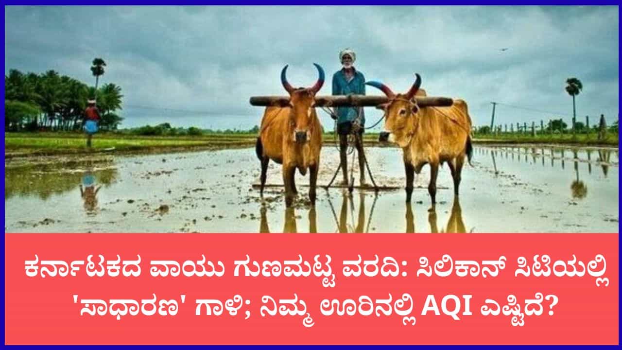ಕರ್ನಾಟಕ ವಾಯು ಗುಣಮಟ್ಟ ವರದಿ: ಬೆಂಗಳೂರು ಸೇರಿ ಪ್ರಮುಖ ನಗರಗಳಲ್ಲಿ ವಾಯು ಮಾಲಿನ್ಯ ಹೇಗಿದೆ? ಕರ್ನಾಟಕ ವಾಯು ಗುಣಮಟ್ಟ ವರದಿ: ಬೆಂಗಳೂರು ಸೇರಿ ಪ್ರಮುಖ ನಗರಗಳಲ್ಲಿ ವಾಯು ಮಾಲಿನ್ಯ ಹೇಗಿದೆ?