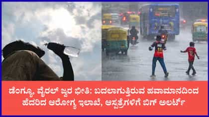 ಡೆಂಗ್ಯೂ, ವೈರಲ್ ಜ್ವರ ಭೀತಿ