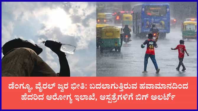 ಡೆಂಗ್ಯೂ, ವೈರಲ್ ಜ್ವರ ಭೀತಿ